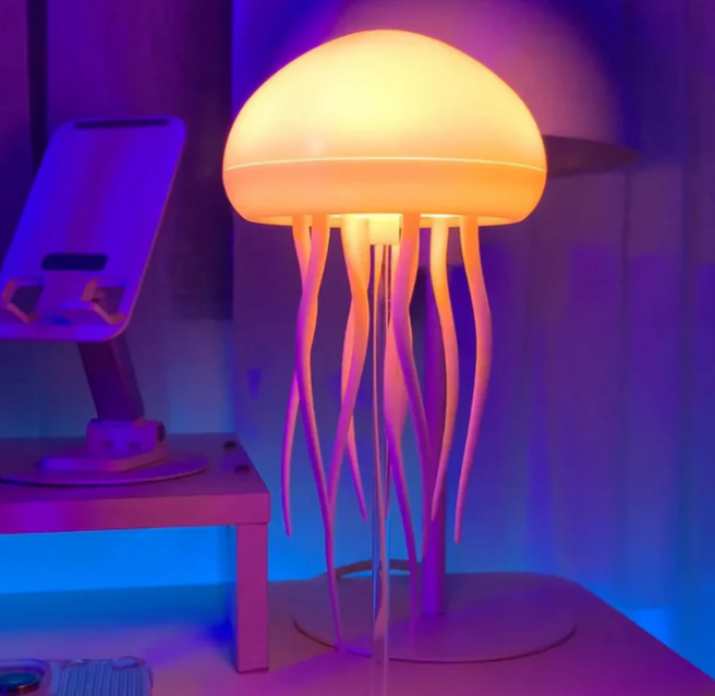 Jellyfish lamp