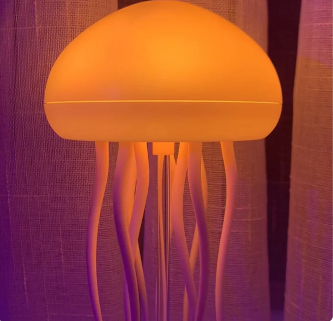 Jellyfish lamp