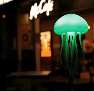 Jellyfish lamp