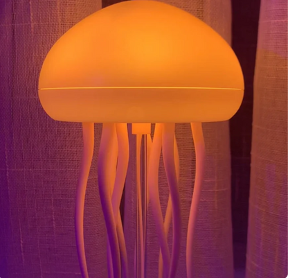 Jellyfish lamp